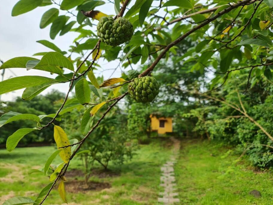 Sohana Eco Retreat Farmhouse - Karjat Chinchavli Extérieur photo